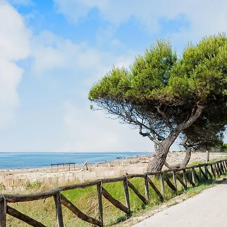 Beachside With Terrace * Bibione